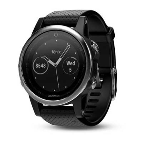 Garmin Fenix 5S 010-01685-02 Sport Watch