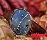 لذتی ساده با ساعت مچی آی دبلیو سی